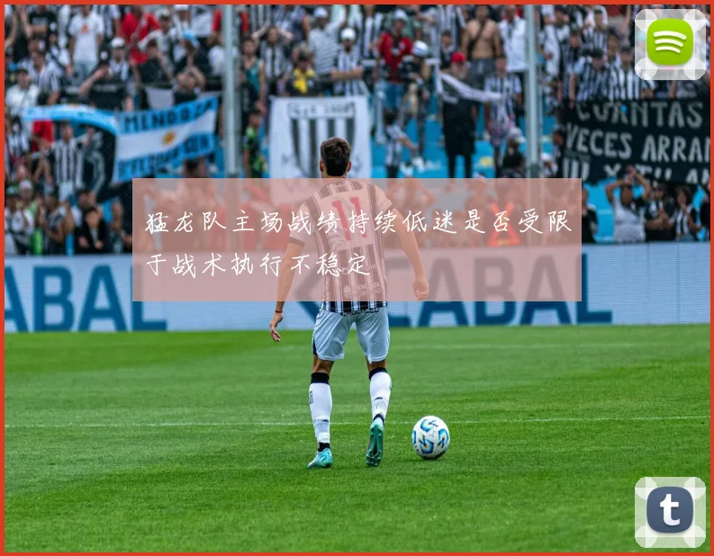 猛龙队主场战绩持续低迷是否受限于战术执行不稳定