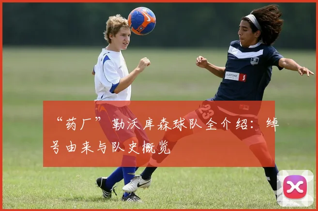 “药厂”勒沃库森球队全介绍：绰号由来与队史概览